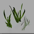 Fresh Green Herb Leaves With Different Shapes On Light Blue Background And Soft Shadows